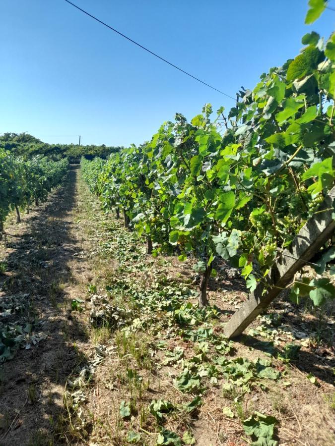 Quinta Do Silva Villa Celorico De Basto Bagian luar foto